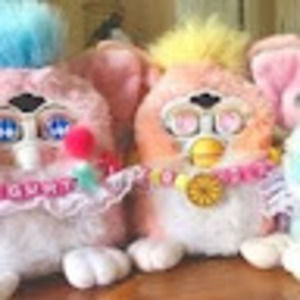 Meet your Posher, Grace